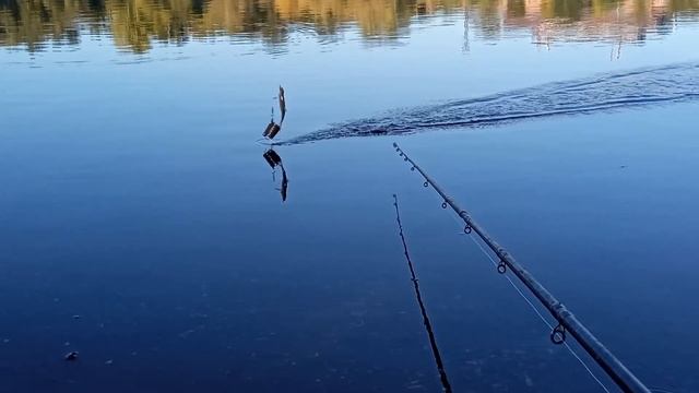 Бешеный Клёв!КАРАСЬ! Рыбалка на затоне! смотреть онлайн