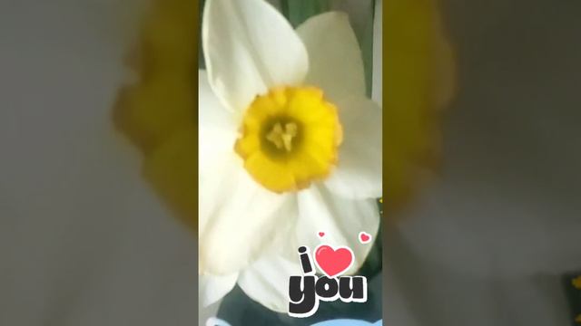 С днем рождения, дорогая Валентина Яковлевна..