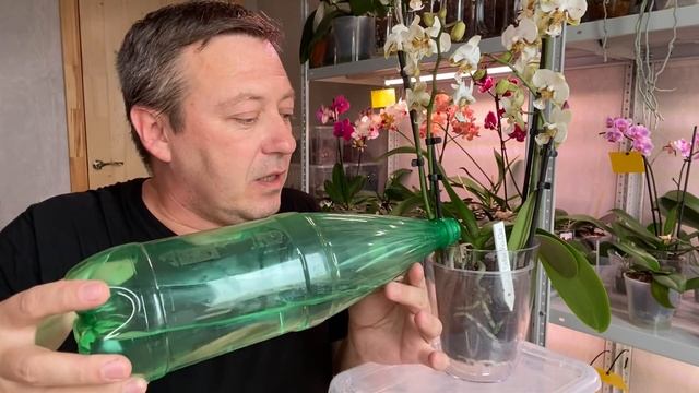 ЧИНИМ ЦВЕТОНОС ОРХИДЕИ обзор орхидей ЧТО ОТВЕТИЛ ПРОДАВЕЦ СЛОМАННОЙ ОРХИДЕИ смотреть онлайн