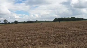 GOLD HAMMERED Coin | Silver + Roman Coins | YORKSHIRE RELIC HUNTER vs THE METAL DETECTING CHANNEL