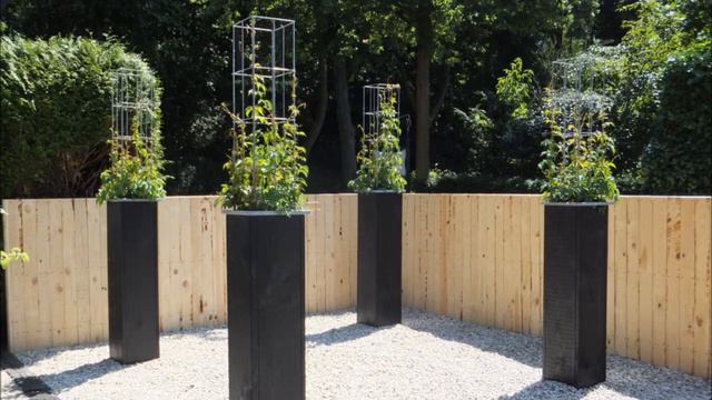 TUINONTWERPEN met klimplanten klimplantzuilen plantenzuilen en andere ideeën смотреть онлайн