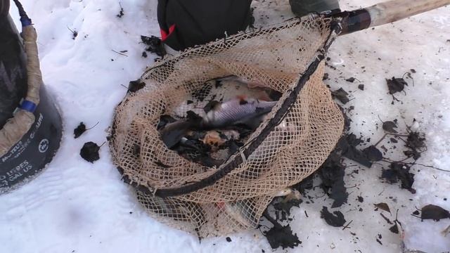 "Дикая" рыбалка на таёжном озере, среди болот ХМАО-Югры