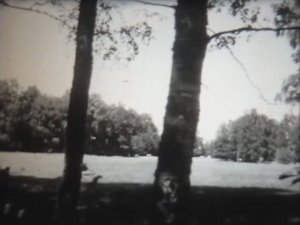 Литература. А.С. Пушкин. Там, где шумят Михайловские рощи