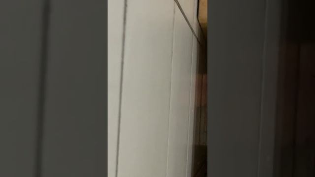 Антисанитария в карусели Коллонтай д3 кушайте ребята салатик с гепатитом