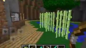 Minecraft PE World Download