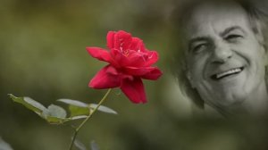 Марічка - Василь Зінкевич