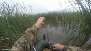Щука на удочку.Озеро Андреевское.
