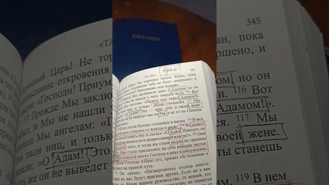 Адам, а не Ева, ослушался Господа и впал в заблуждение