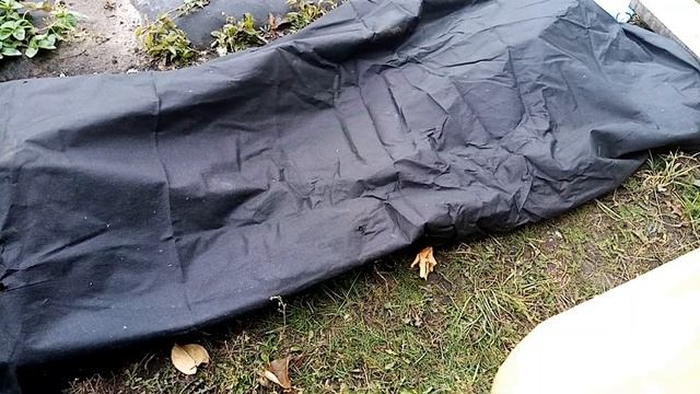 Укрытие винограда Велес и Приображение на зиму в Поволжье
