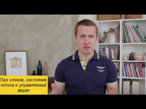Про слонов, состояние потока и управляемый аврал || Филипп Гузенюк