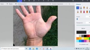 Черные точки на ладонях, и какого цвета должны быть линии на руках #хиромантия