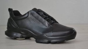 Ecco Biom