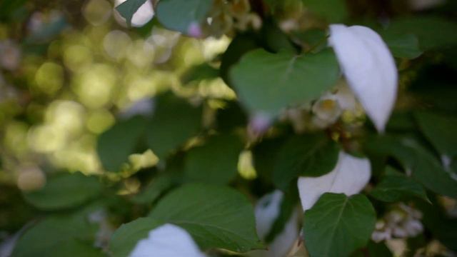 видео для медитации смотреть онлайн