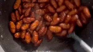 ГОТОВЛЮ ШЕЛКОПРЯДОВ Просто, вкусно и сытно. Богатая белком пища