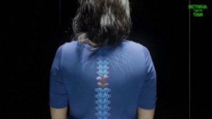 Эффект Манделы 2023. Новое. Истории из жизни.