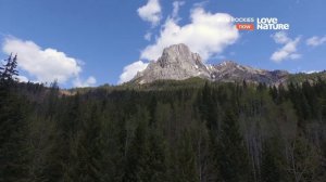 Дикие Скалистые горы / Животный мир Скалистых гор / Wild Rockies / Серия 1 Лесной баланс