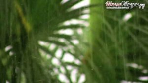 Правила Поведения во время Грозы