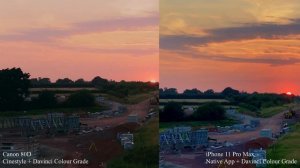 Canon 80D vs iPhone 11 Pro Max - Sunset