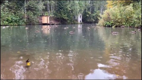 #нижнийновгород осенняя прогулка по парку