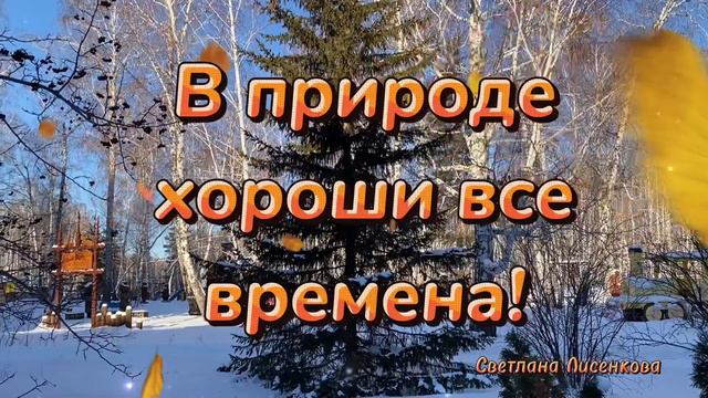 С Последними Осенними Деньками! Скоро придёт Зима!