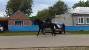 Иноходец / жорга