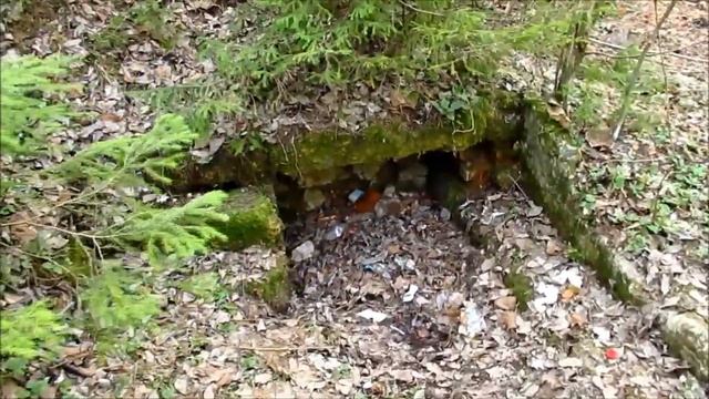 Руины дачи Лавочкина (Зеленоград) смотреть онлайн