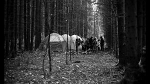 Осенние дороги