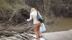 Мост на дачи и пионерские лагеря