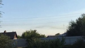 нашествие саранчи 20.07.2019 Ростовская область Тарасовский район Станица Митякинская
