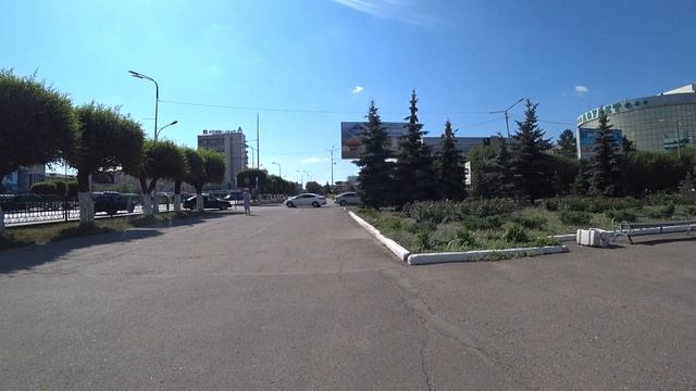 Караганда | к ЦУМу от бизнес-центра Казахстан по Бухар-Жырау, цветы, можжевеловые и ели летом 2021