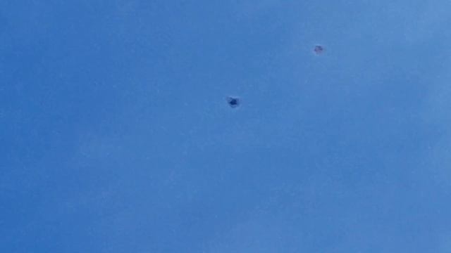 Николаевские голуби.Продолжение. смотреть онлайн