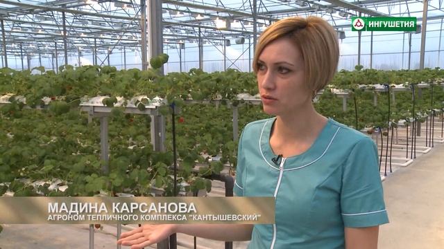 21012019 СЕЛЬСКИЙ ЧАС КЛУБНИКА ЕВЛОЕВА