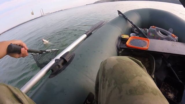 Рыбалка на Солнечнодольском водохранилище на кашу смотреть онлайн