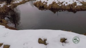 Рыбалка по открытой воде. Tenkara & nymphing. Ловлю на нимфу с берега.