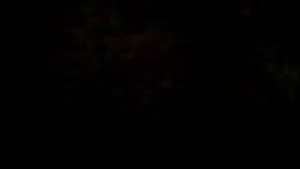 Смотровая яма и погреб гаража на Лагерной