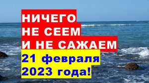 Не сейте семена и ничего не сажайте 21 февраля 2023 года!