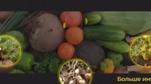 Агротенс супер эффективное удобрение для сада и огорода!