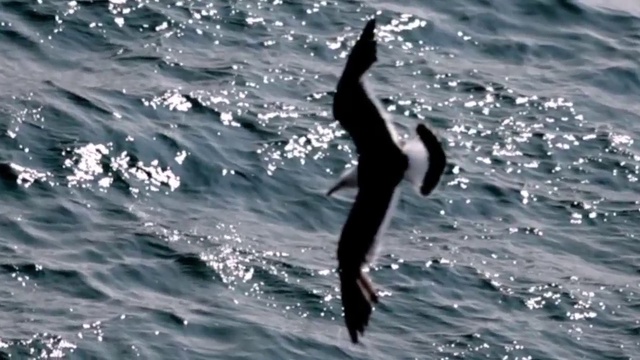 ПРОШЛОЕ ЛЕТО смотреть онлайн