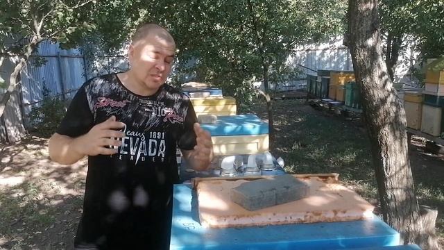 Работы на пасеке в августе. Апизоль профилактика, стимуляция. смотреть онлайн