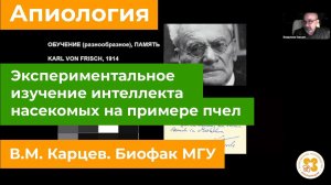 Экспериментальное изучение интеллекта насекомых на примере пчел