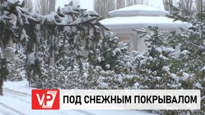 В ВОЛГОГРАД ПРИШЛА НАСТОЯЩАЯ СНЕЖНАЯ ЗИМА