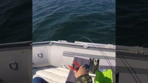 23.09.2019 Донузлав Fishing!!!.mp4