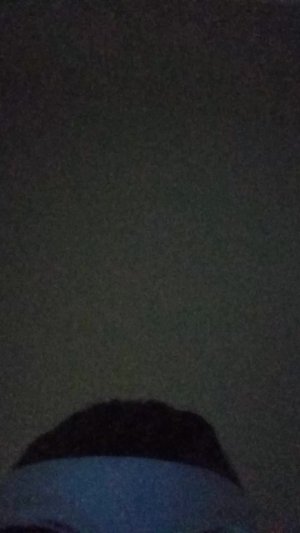 жирный кот с магнитафоном