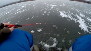 Ловля окуня один за одним со льда! Первый лёд! Рыбалка на Круглое озере зимой Московская область!