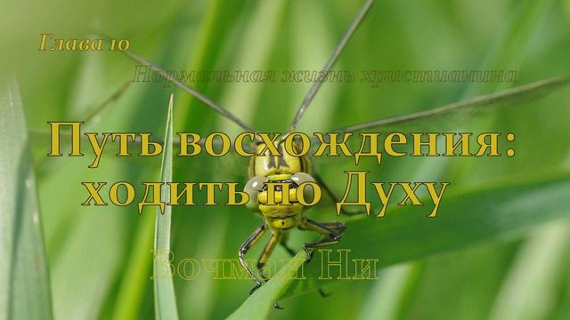"Путь восхождения: ходить по Духу" Вочман Ни глава 10 смотреть онлайн