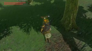 Как я собирал короков в The Legend of Zelda: Breath of the Wild
