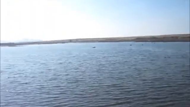 озеро 25 километр ВКО