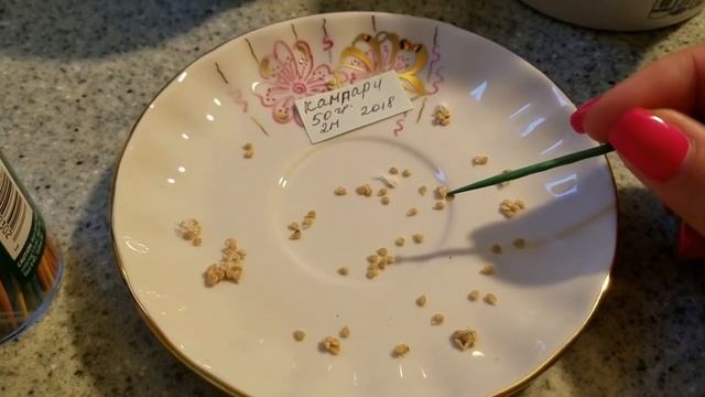 Посев семян томатов на раннюю рассаду смотреть онлайн