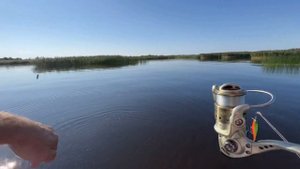 Поиск окуня в Ладожском озере. Кириково. Окунь на спиннинг.