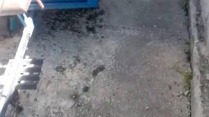 Нева мб-2. Наш самый хороший но бесполезный мотоблок.